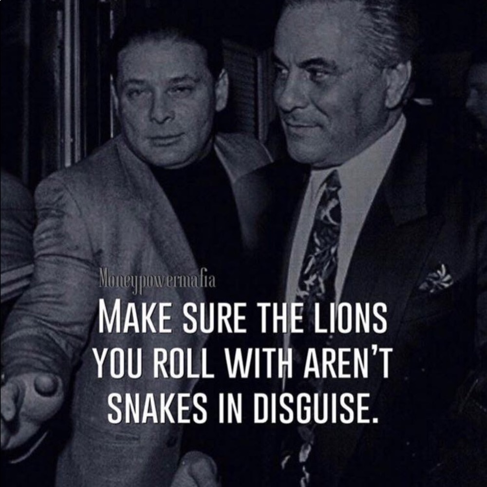 Meet your Posher, Anneliese